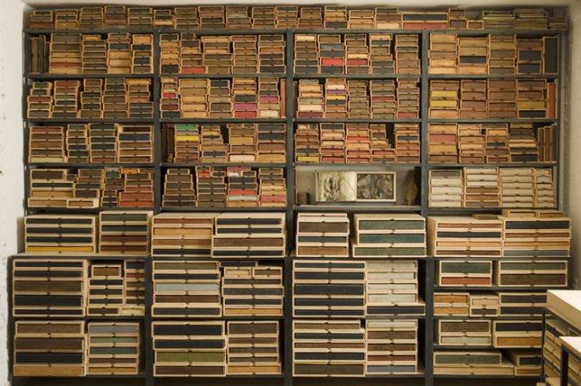 La biblioteca del bosque