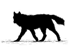 10603723_878855908814976_107053205218379649_n