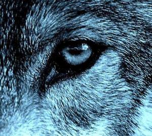 10339769_865981620102405_4844715400133326784_n