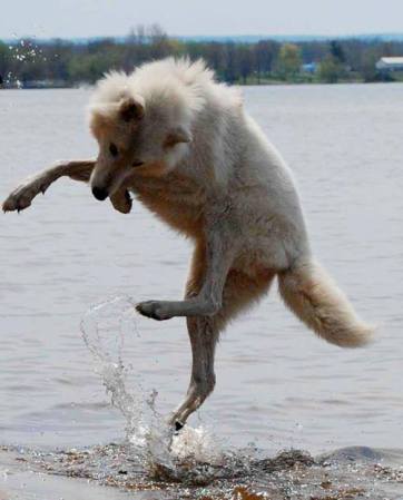 10369196_1018813354819230_499389616612312633_n