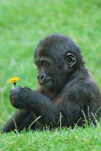 11825807_978315138898330_3375828218073071896_n