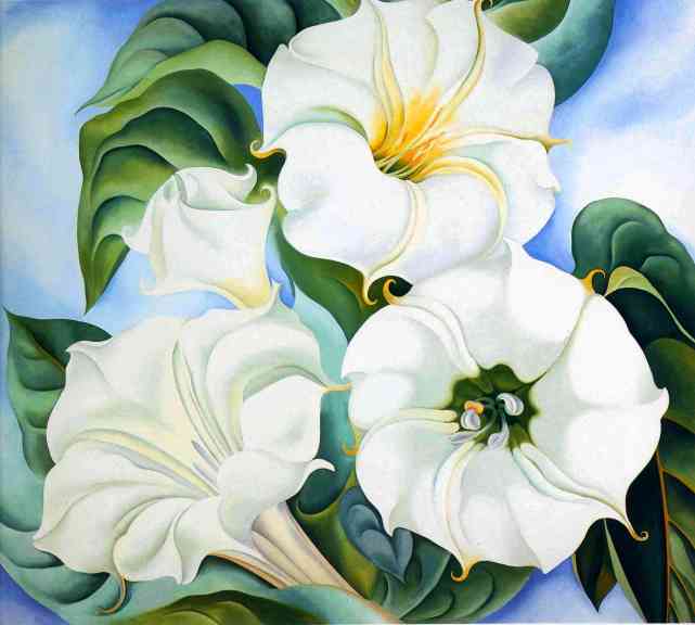 Georgia O'Keeffe_Jimson Weed_1936