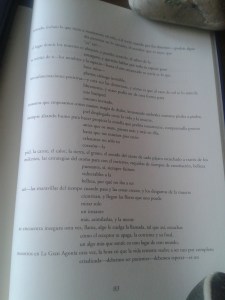 rompiente_jorie-graham