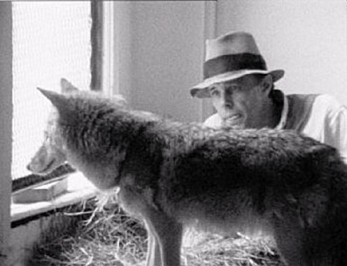 BEUYS and Coyote