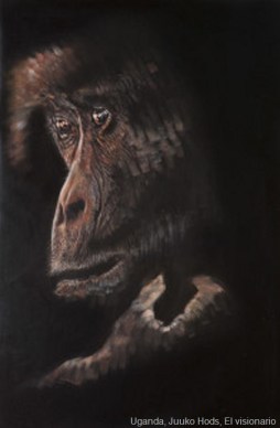 Juuko-hods_el-visionario_Uganda