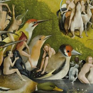 Bosco_jardí_detall-ocells