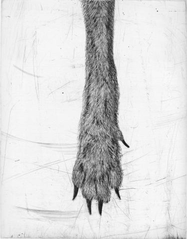 Kiki Smith-Jewel-3-2004