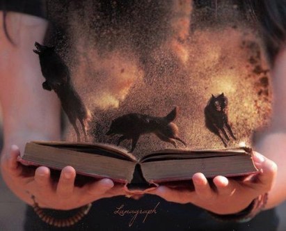 LLibres_dones & Llops