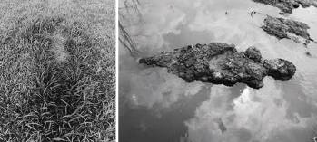 ana-mendieta-earth-work-4