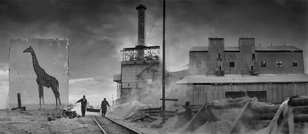 Nick-Brandt_Inherit the dust6