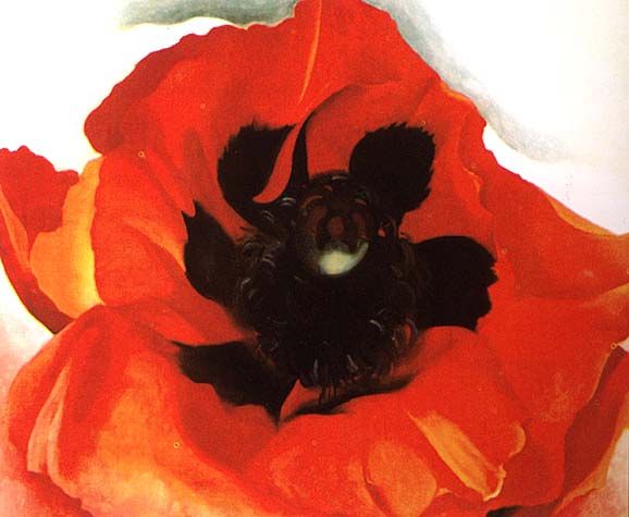 okeeffe_red-poppie