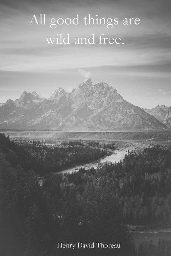 henry-thoreau_wild-things