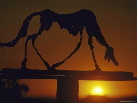 alberto-giacometti-perro_a-G-3837237-4990880